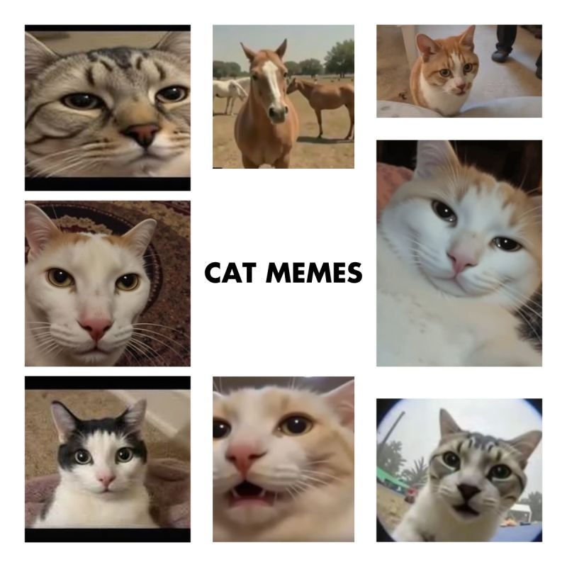 Raster aus neun KI-generierten Katzengesichtern mit dem Schriftzug Cat Memes